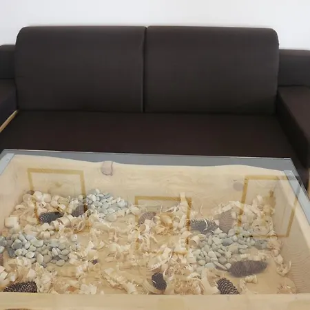 Vendégház Svatopluk Koritnica